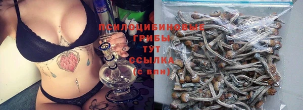 героин Абаза
