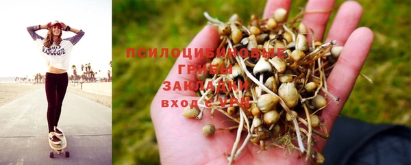 тгк Абинск