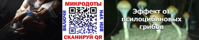 наркота Красавино Галлюциногенные грибы прущие грибы
